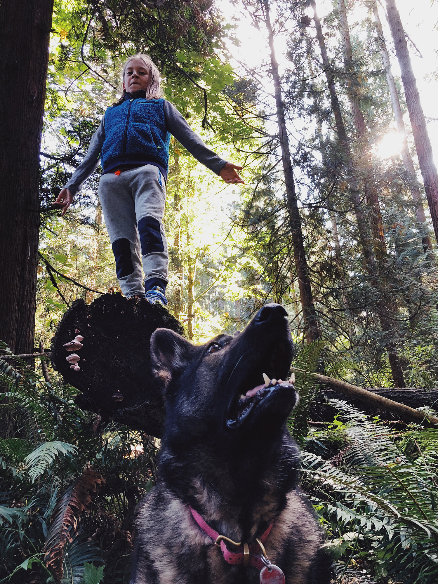 Processed with VSCO with av4 preset