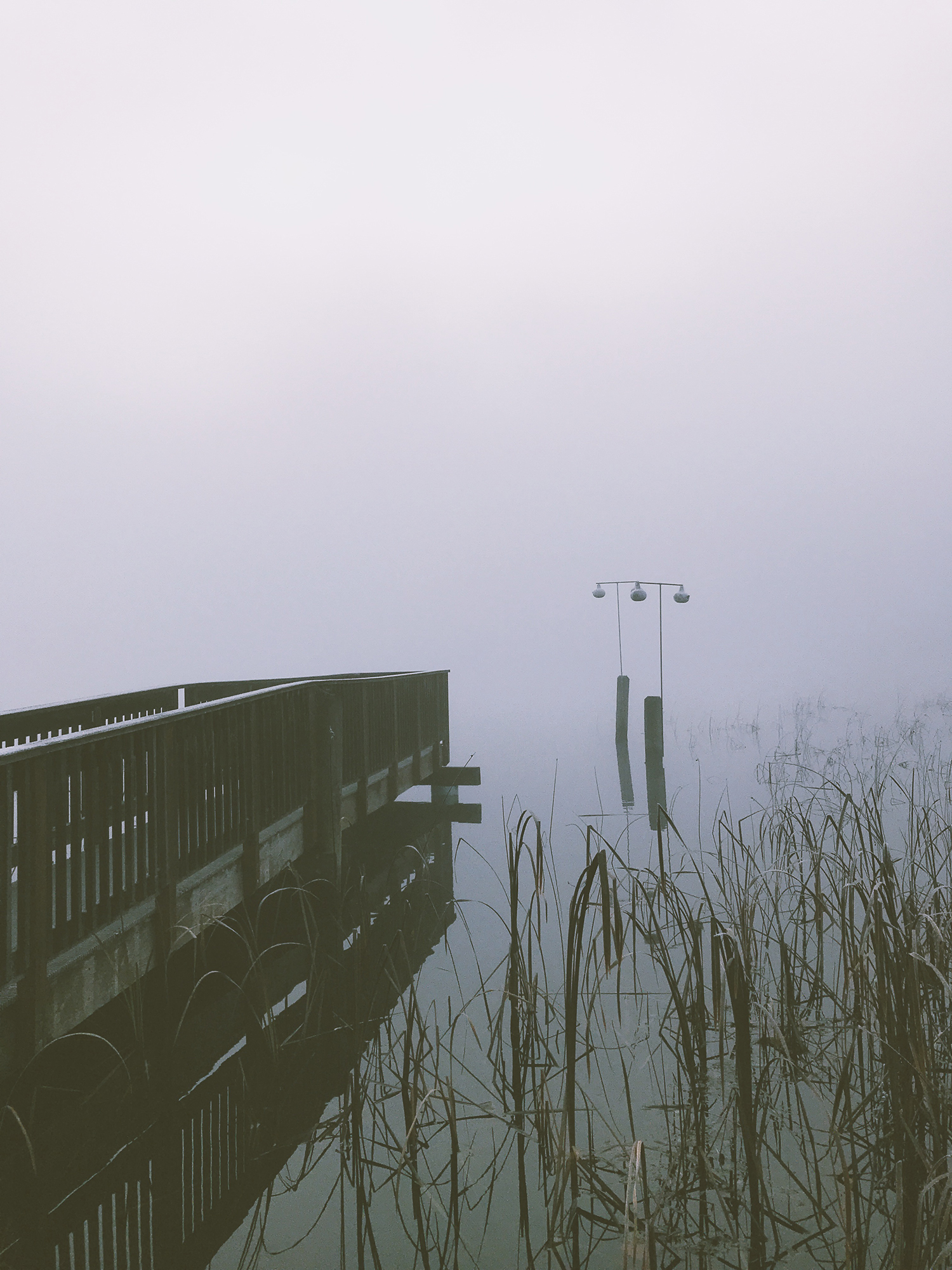 Processed with VSCO with av8 preset