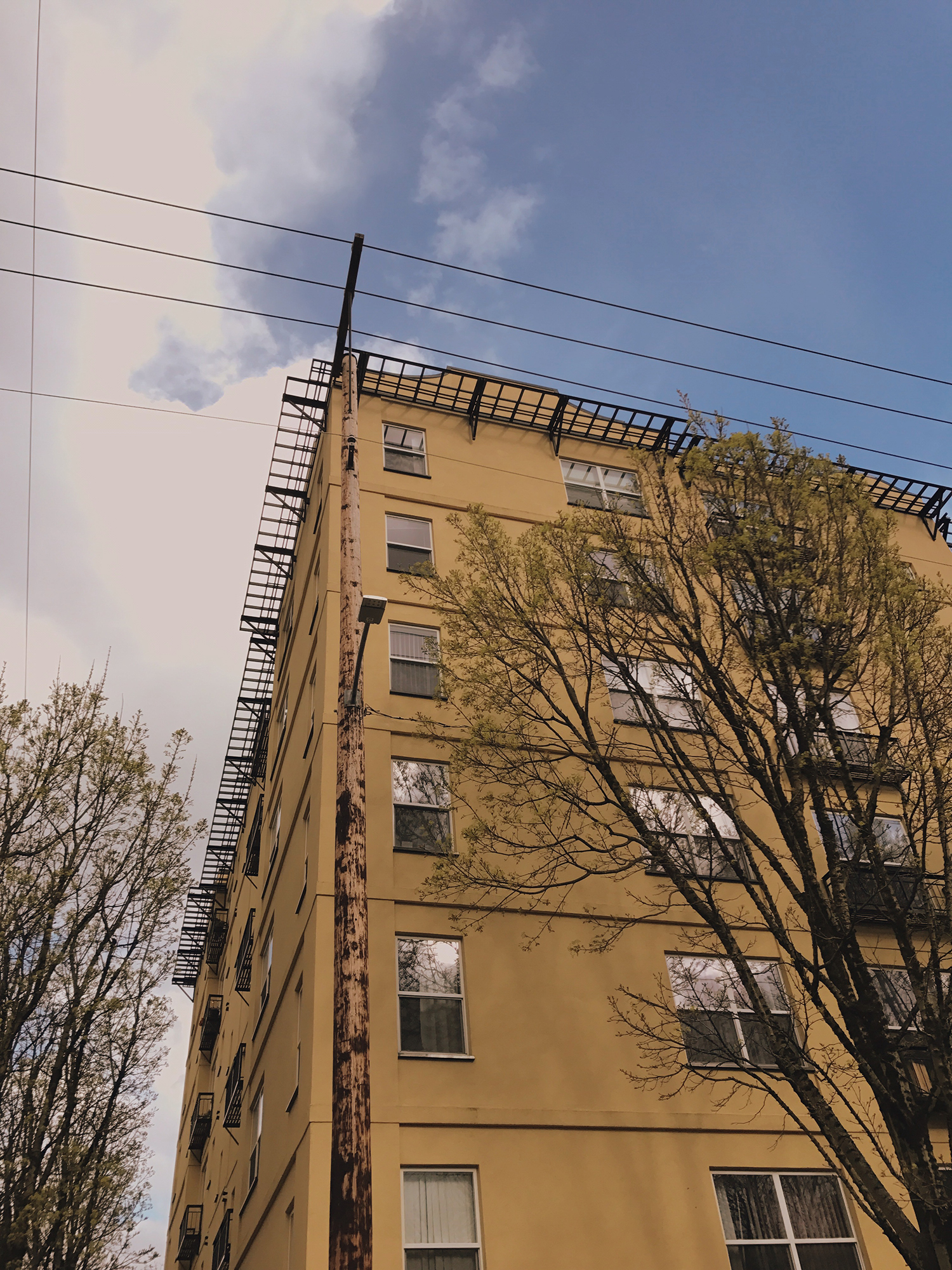 Processed with VSCO with v8 preset