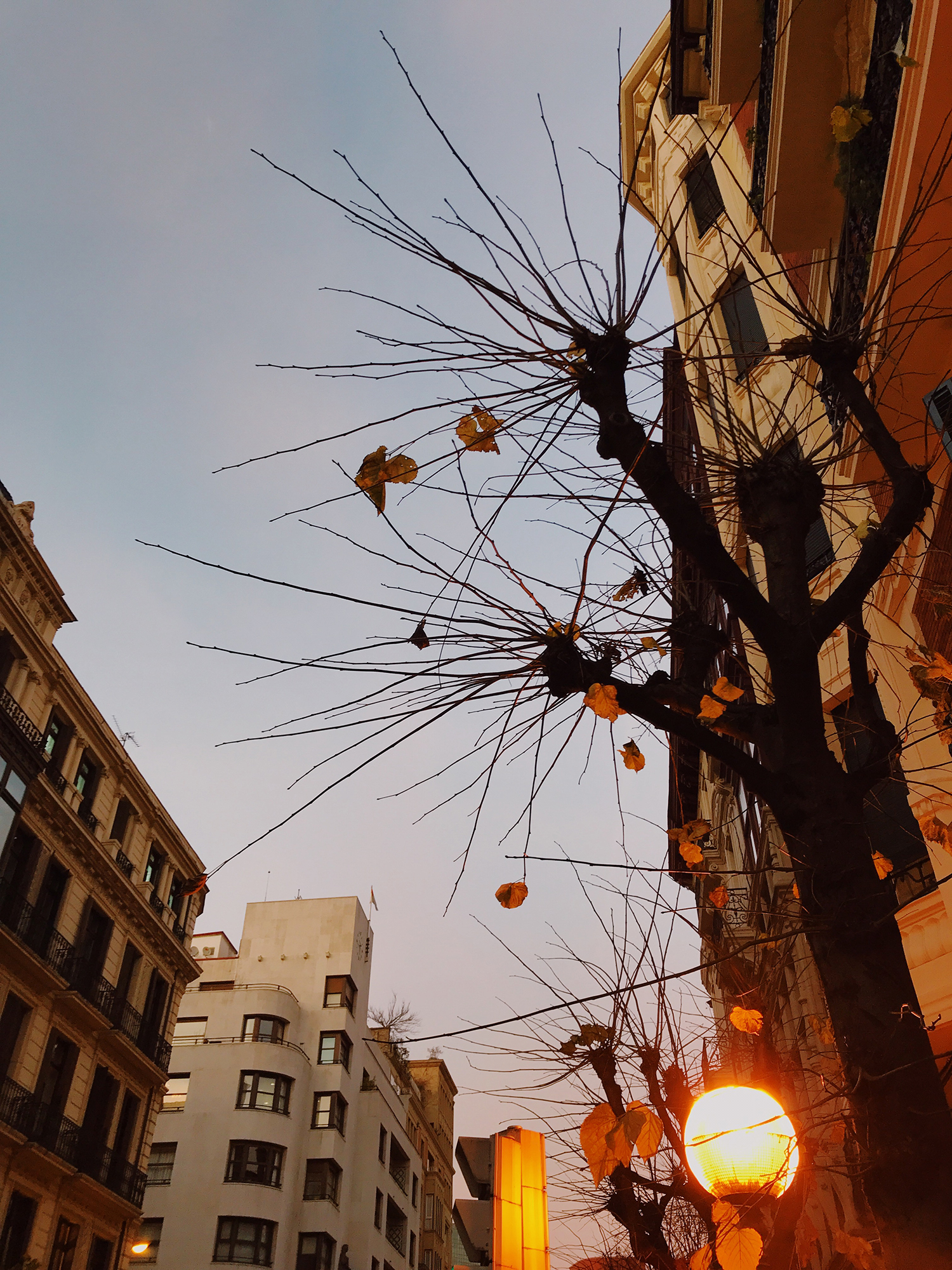 Processed with VSCO with au5 preset