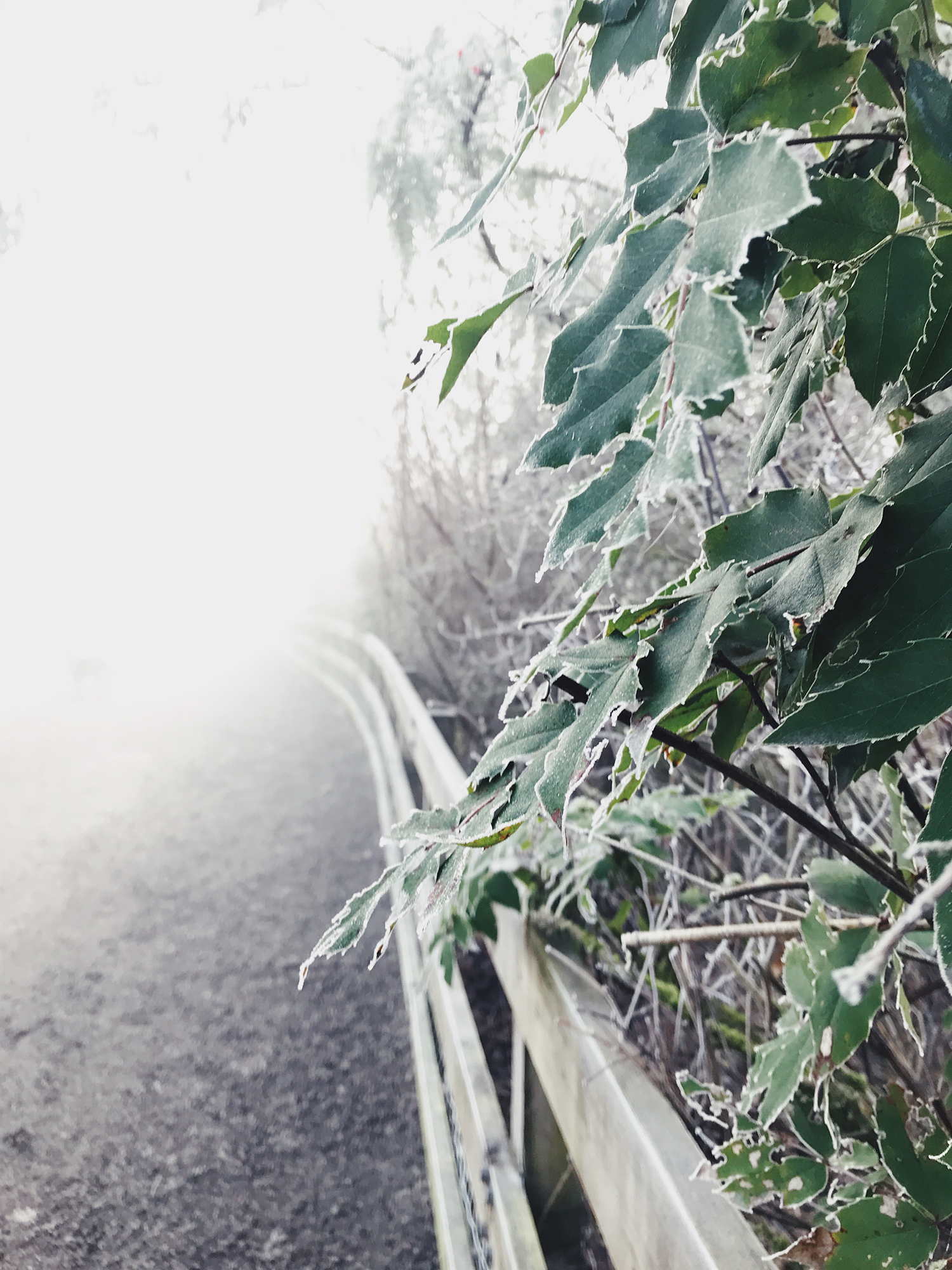Processed with VSCO with av4 preset