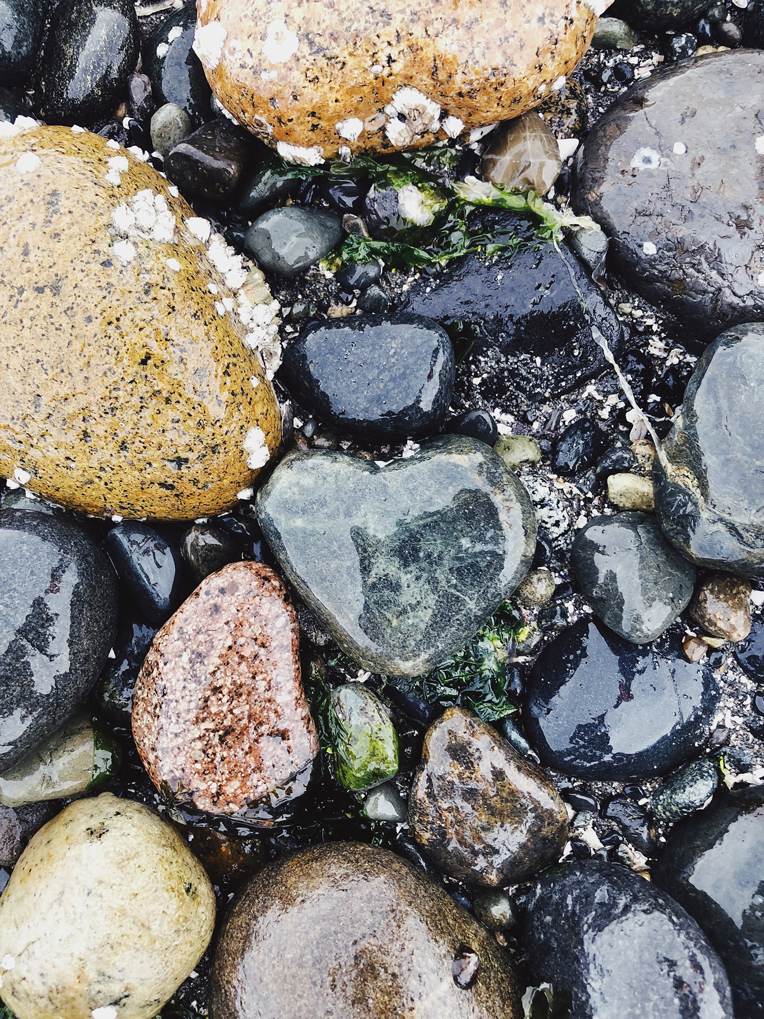 Processed with VSCO with av4 preset