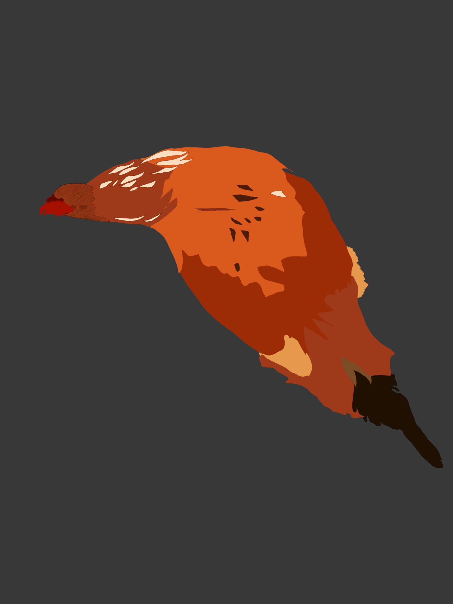 chicken9